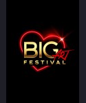 PRESALE: 09.08.26 BIG ART FESTIVAL PORTO CERVO: ROBBIE WILLIAMS